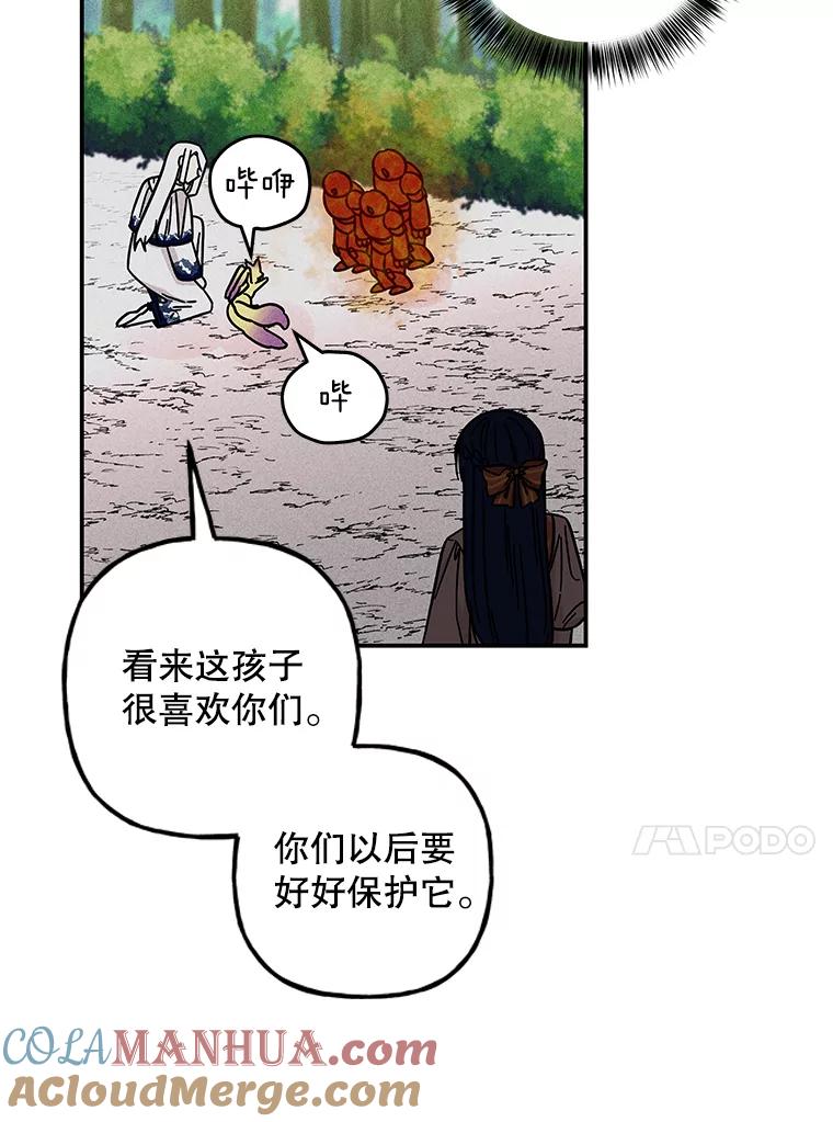 第255页