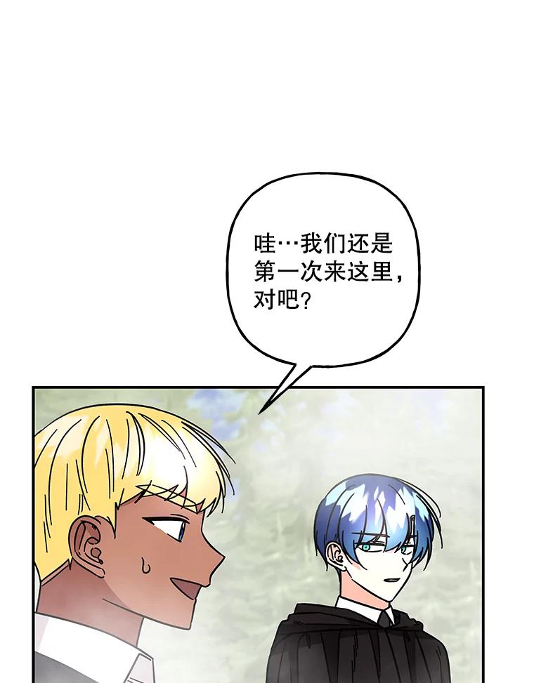 第246页