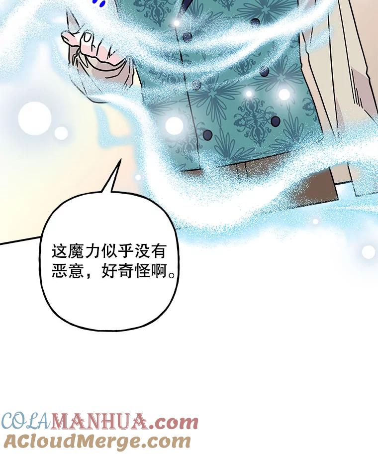 第219页