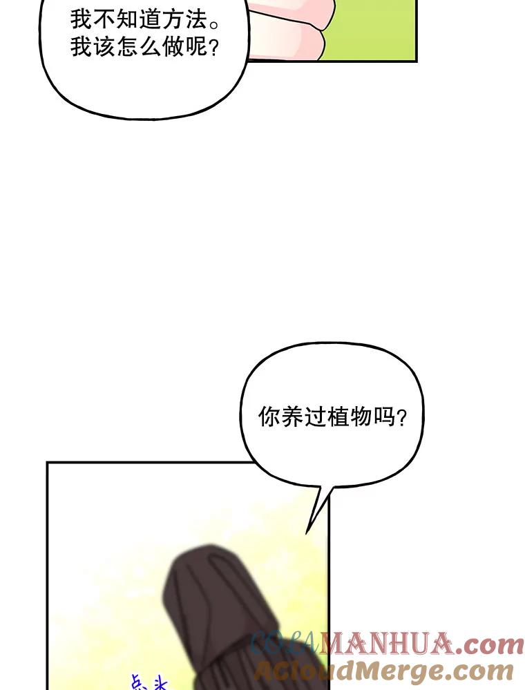 第243页