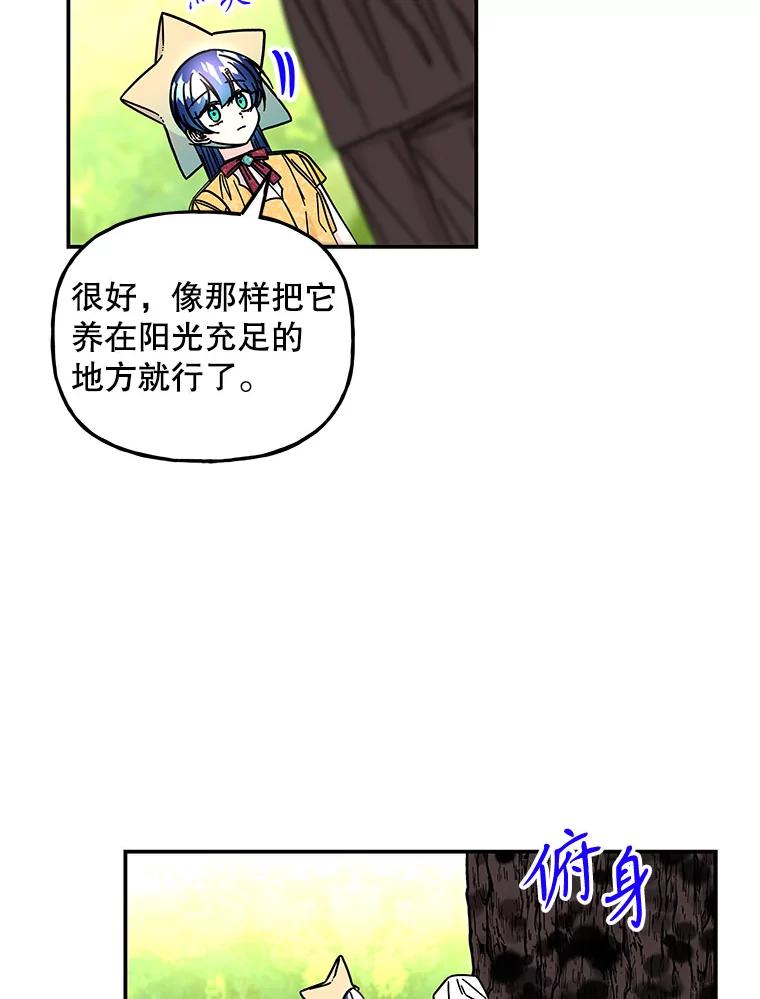 第246页