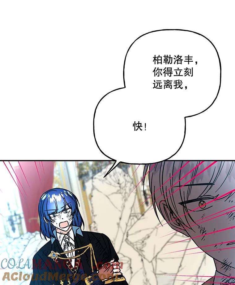 第219页