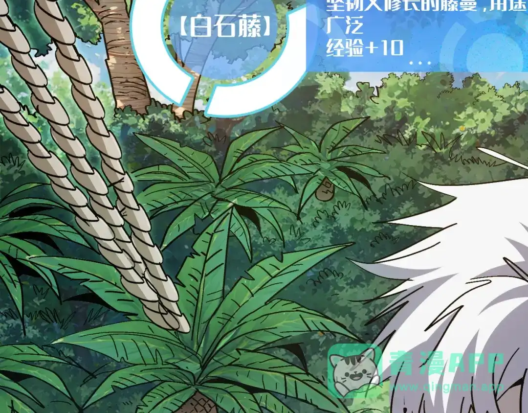 第191页