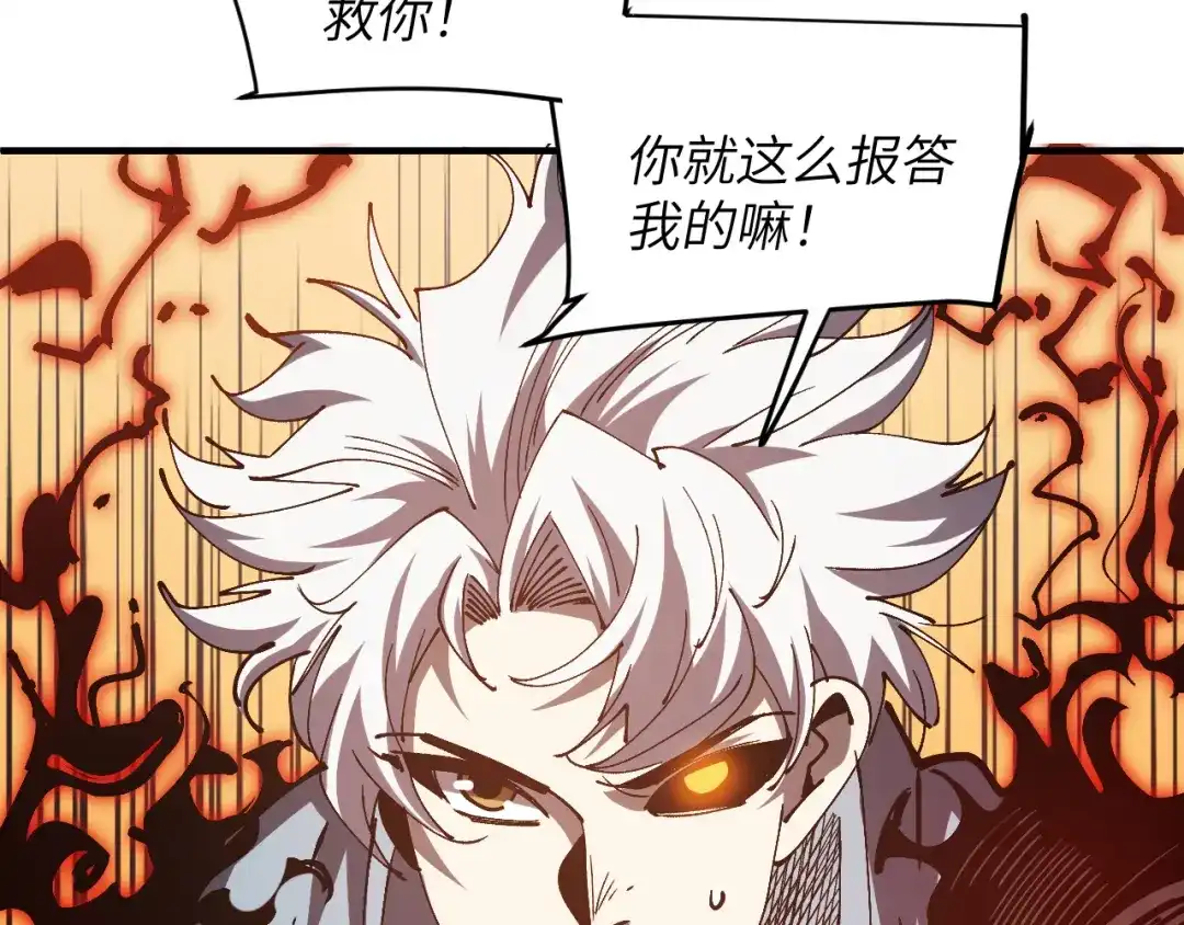 第206页