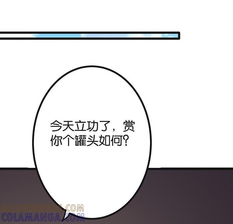 第197页