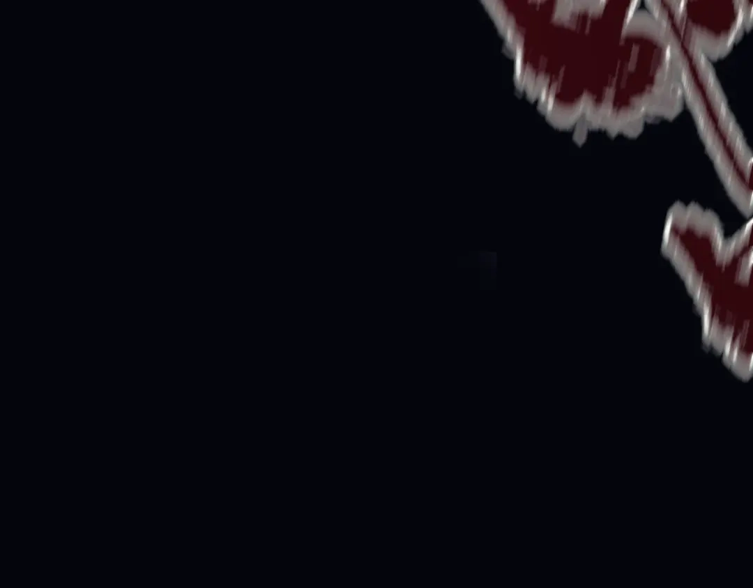 第107页