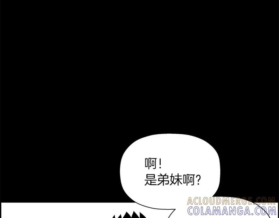 第221页