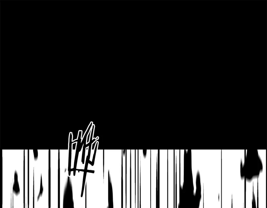 第223页