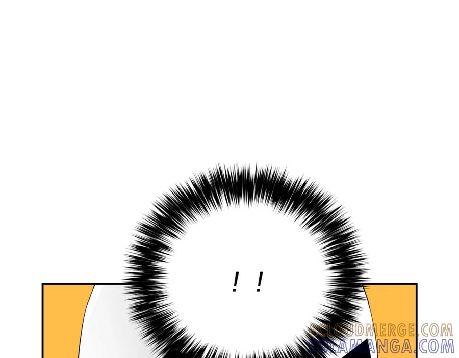 第229页
