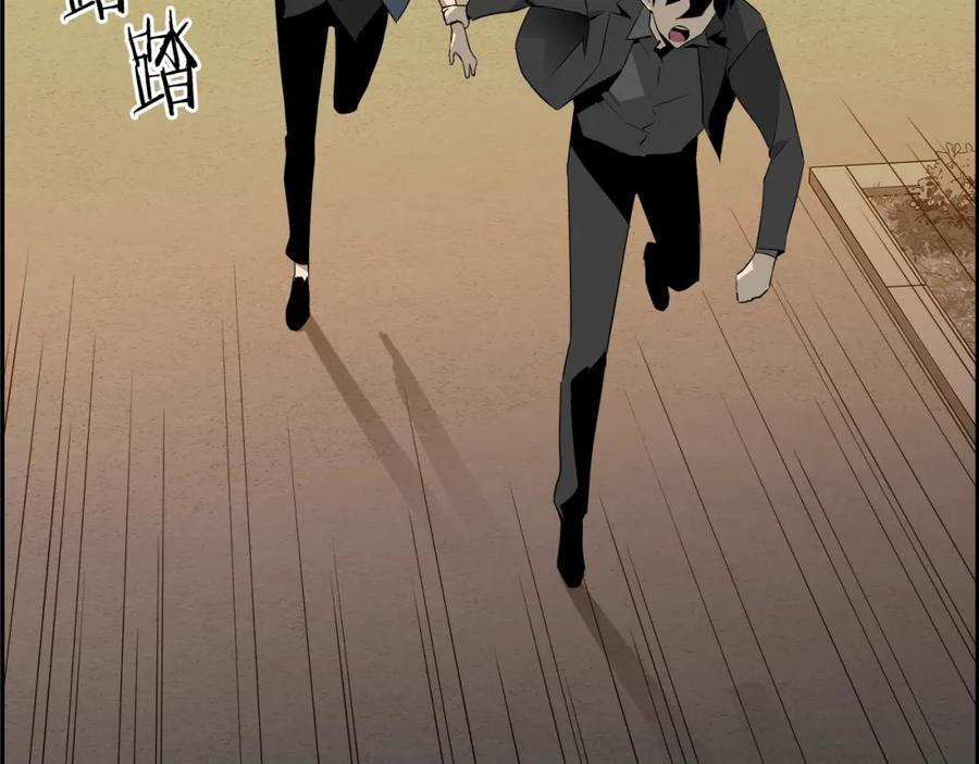 第204页