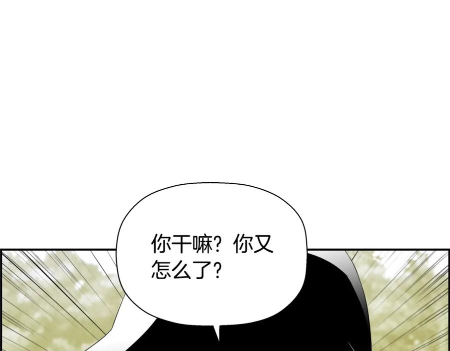 第206页