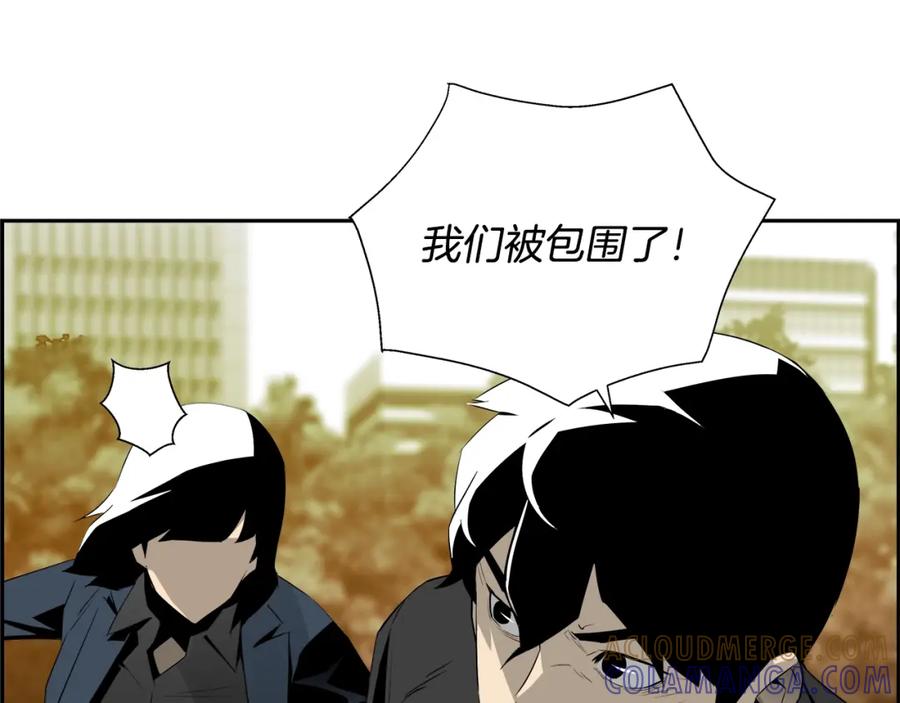 第209页
