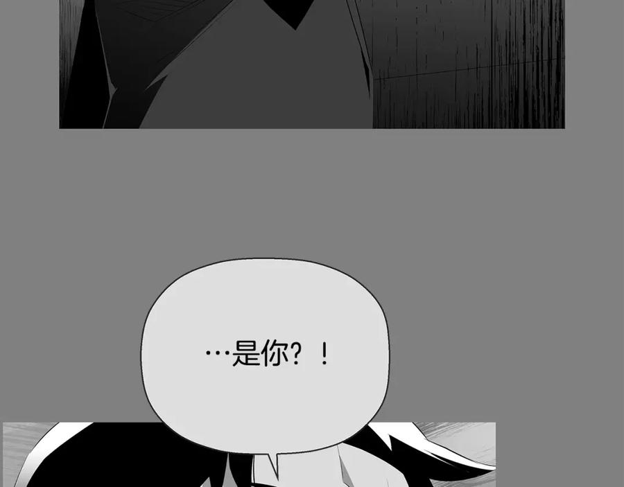 第239页