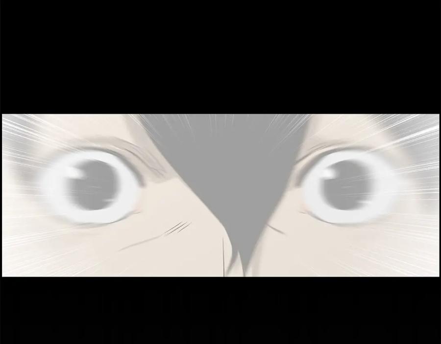 第236页