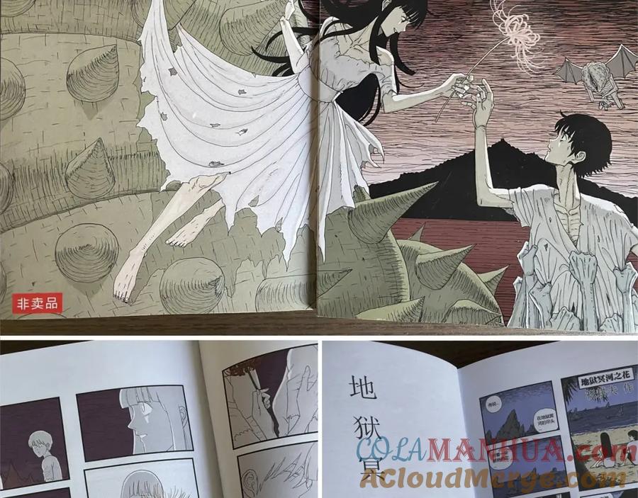 第113页