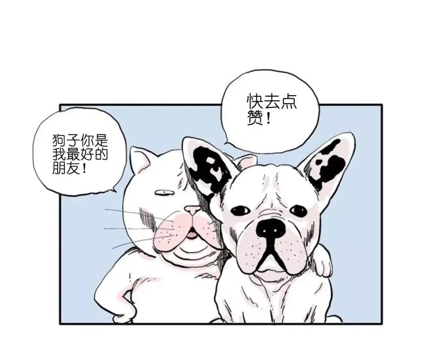 第164页