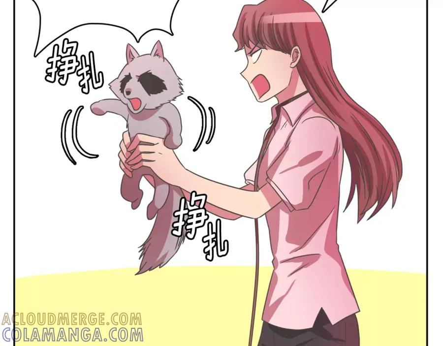 第141页