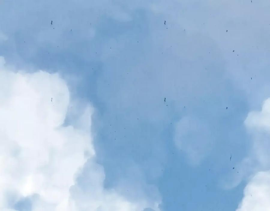 第142页