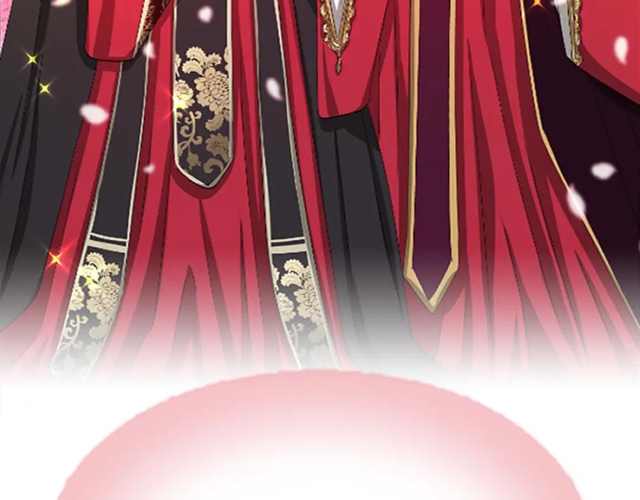 第216页