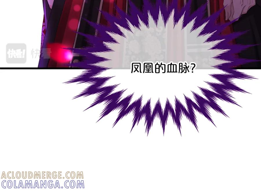 第205页