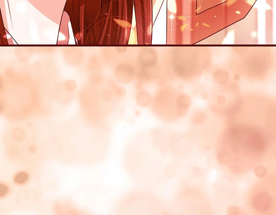 第223页