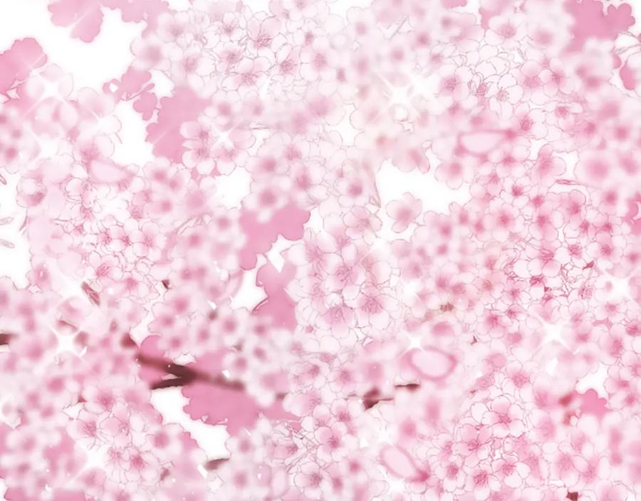 第220页