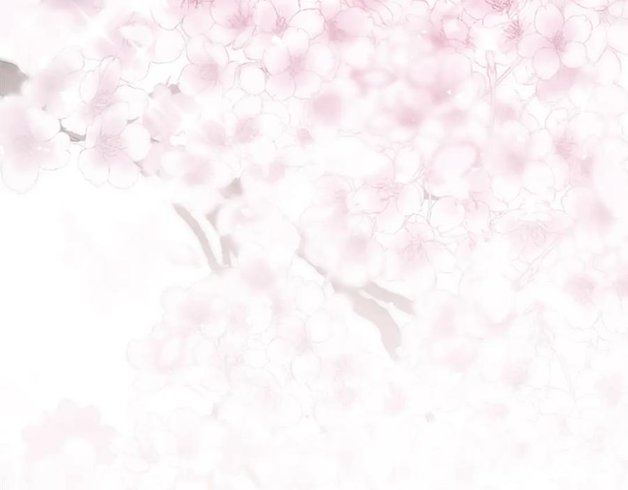 第224页