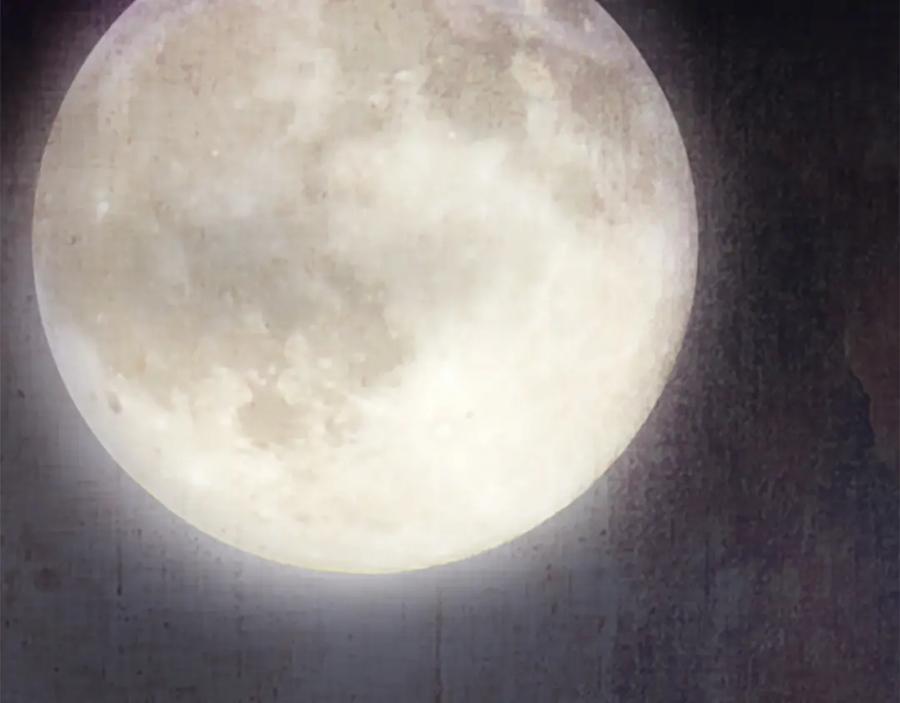 第124页