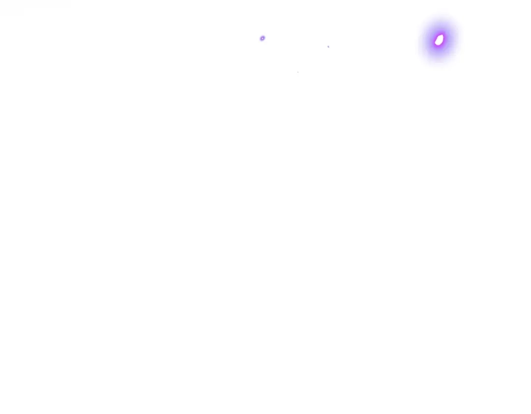 第204页