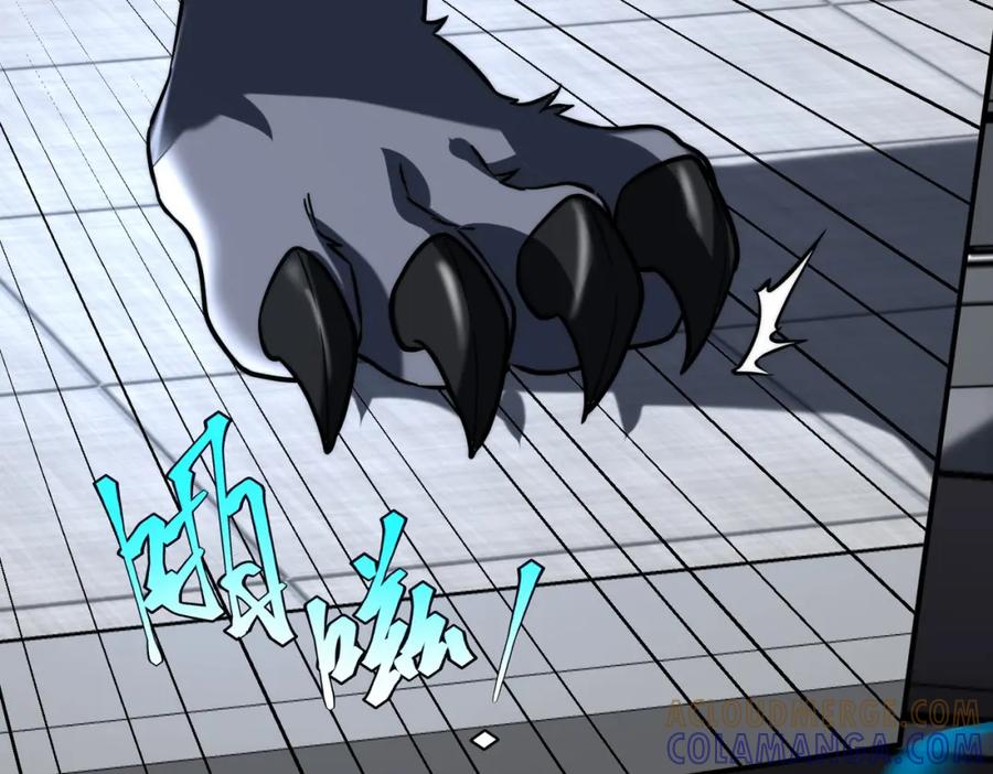 第181页