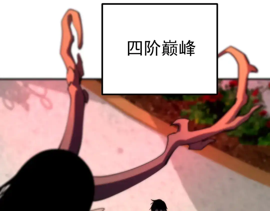 第205页