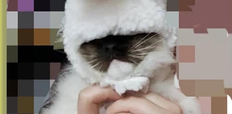第53页