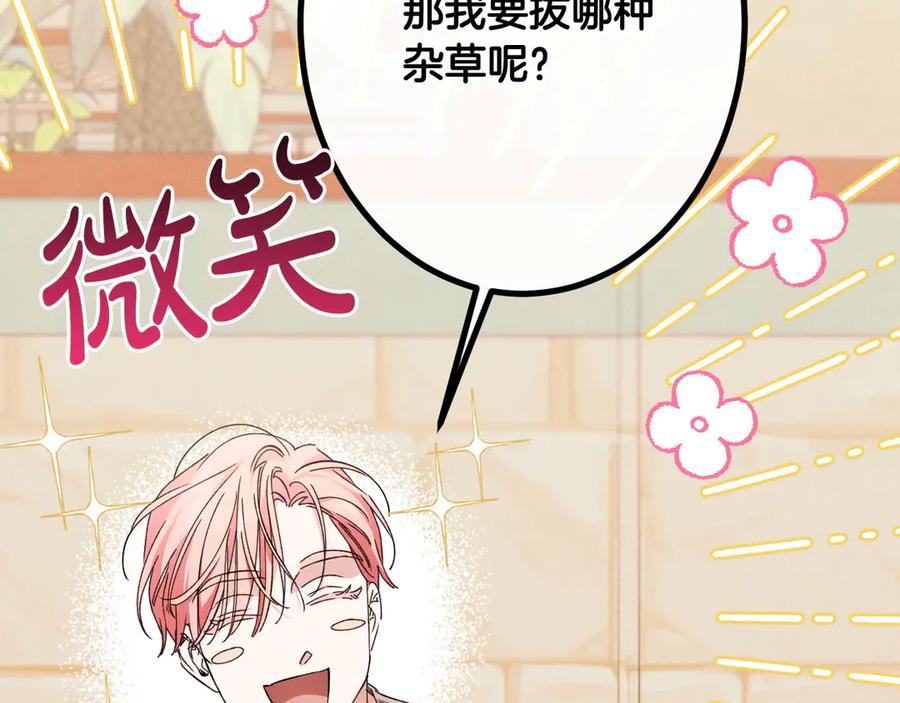第214页