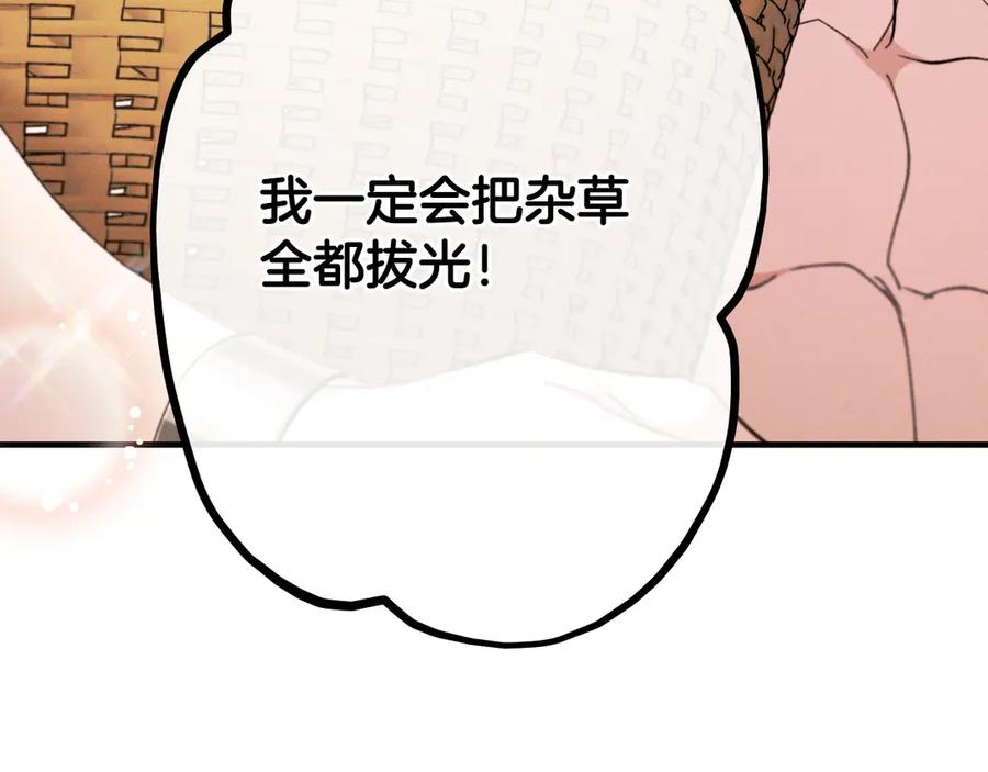 第227页