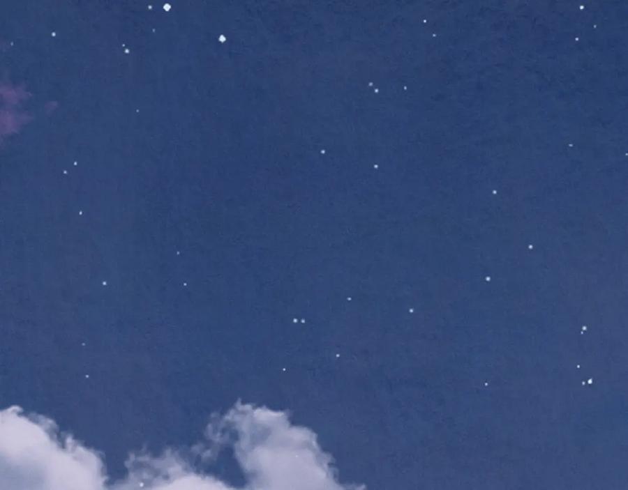 第194页