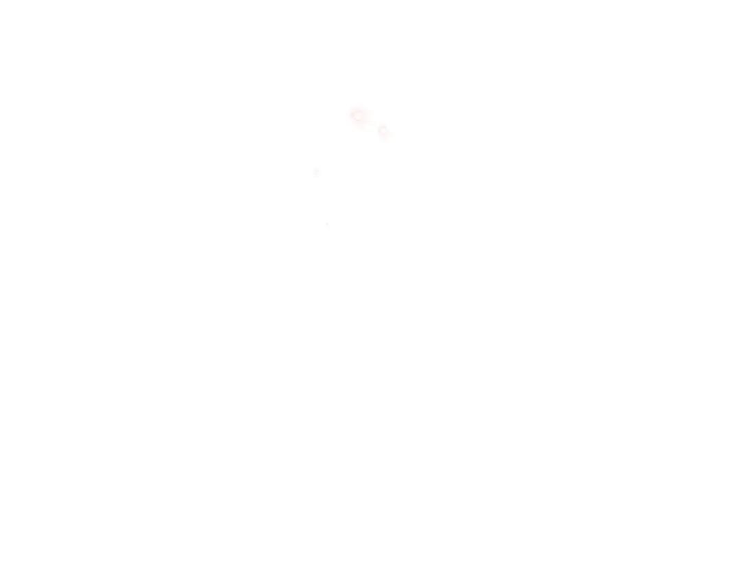 第202页