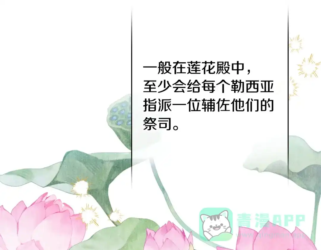 第206页