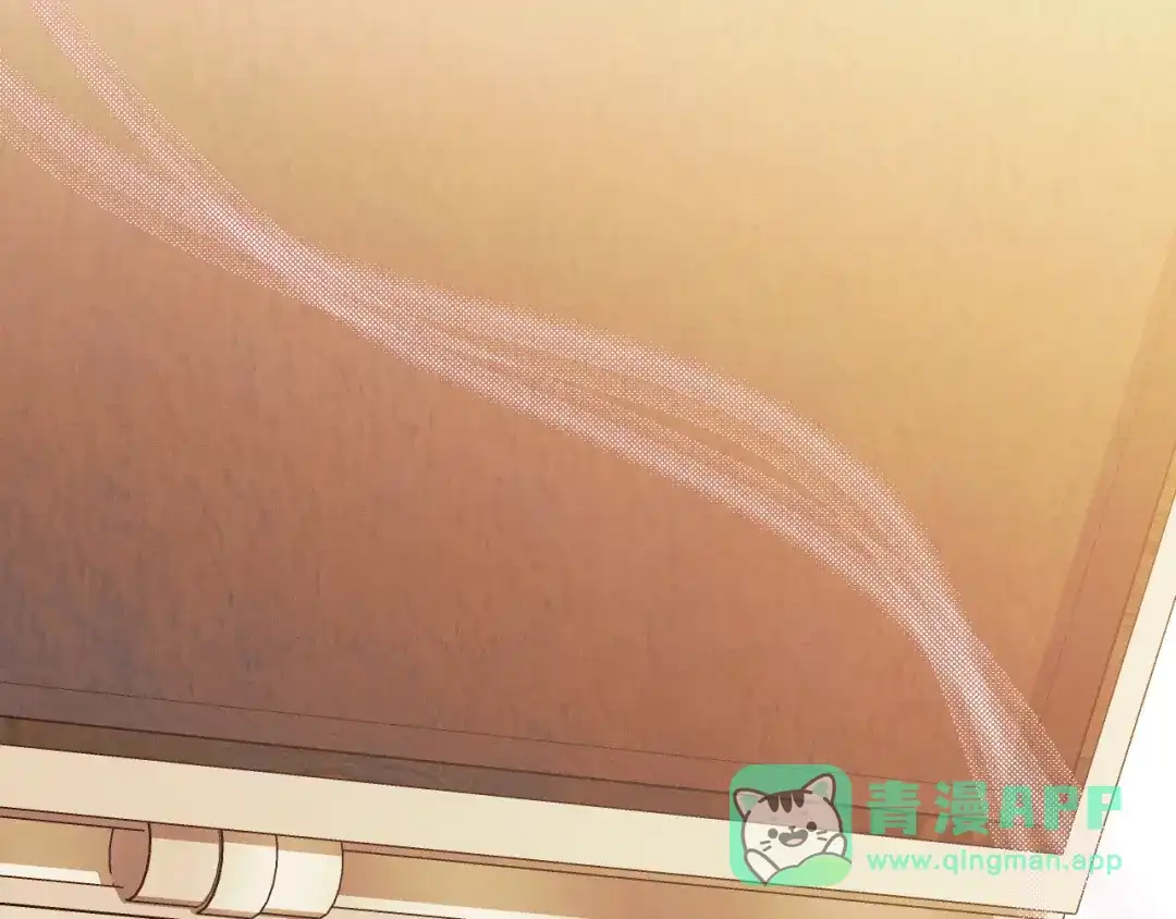 第221页