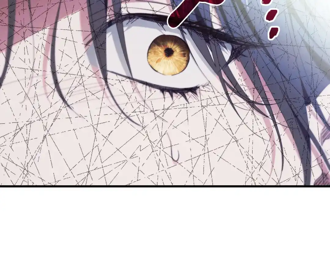 第233页