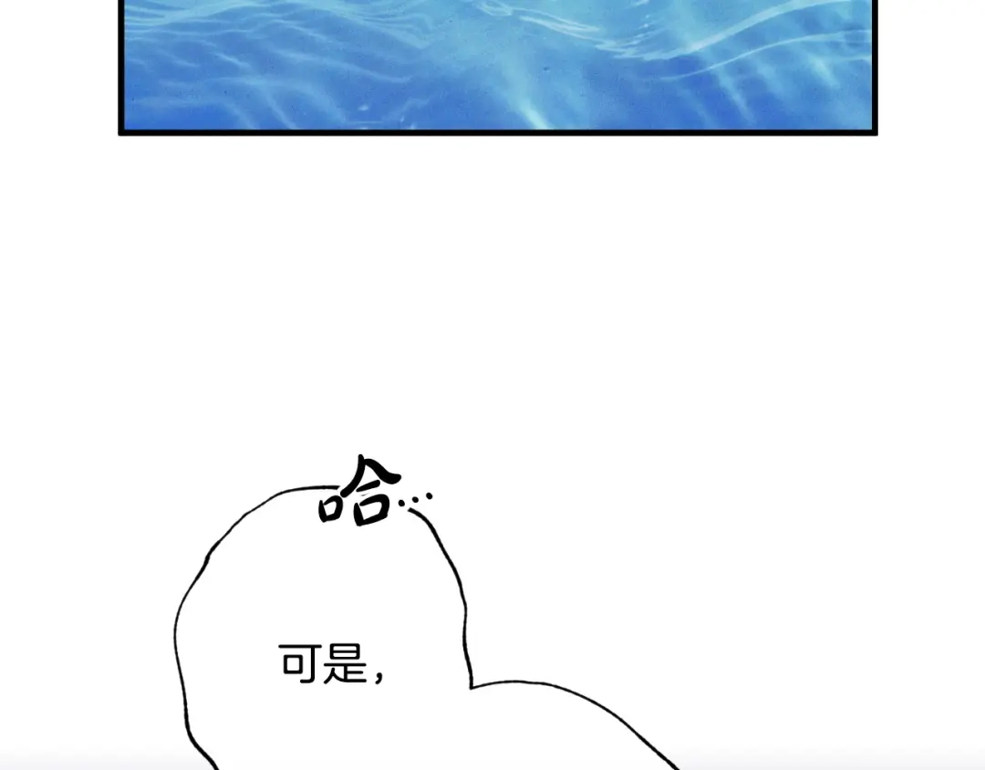 第237页