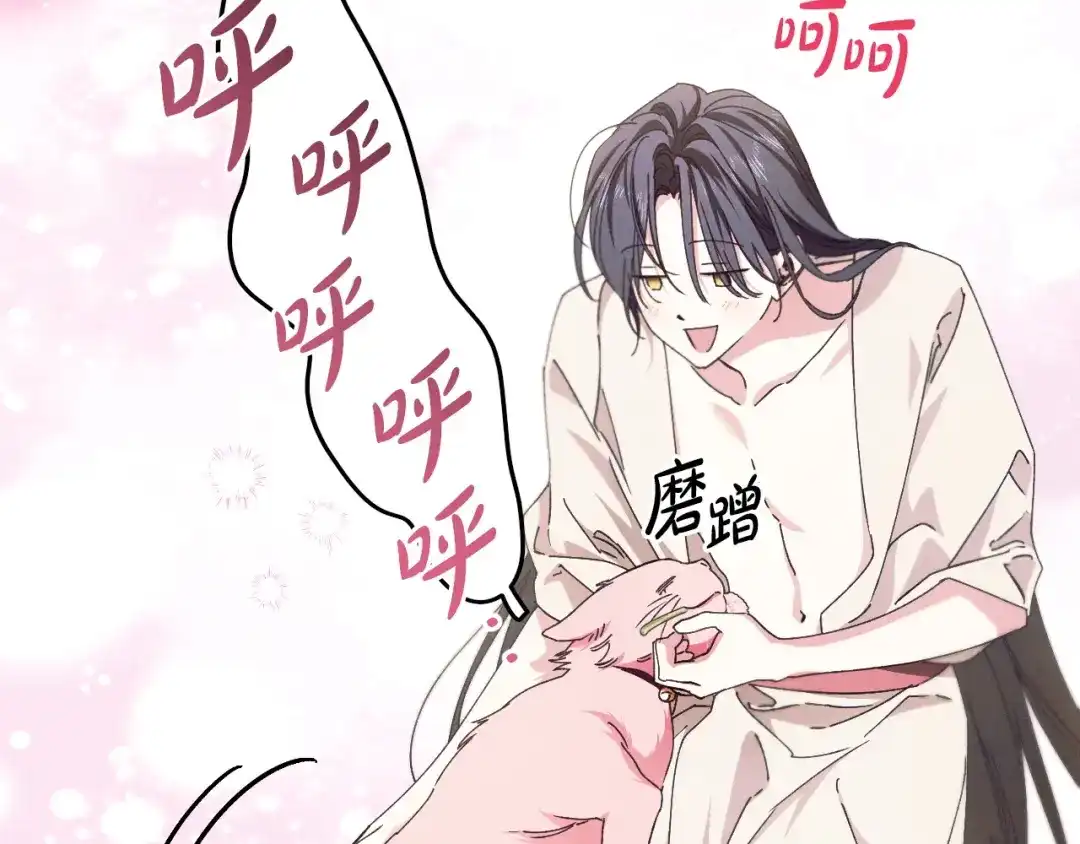 第197页