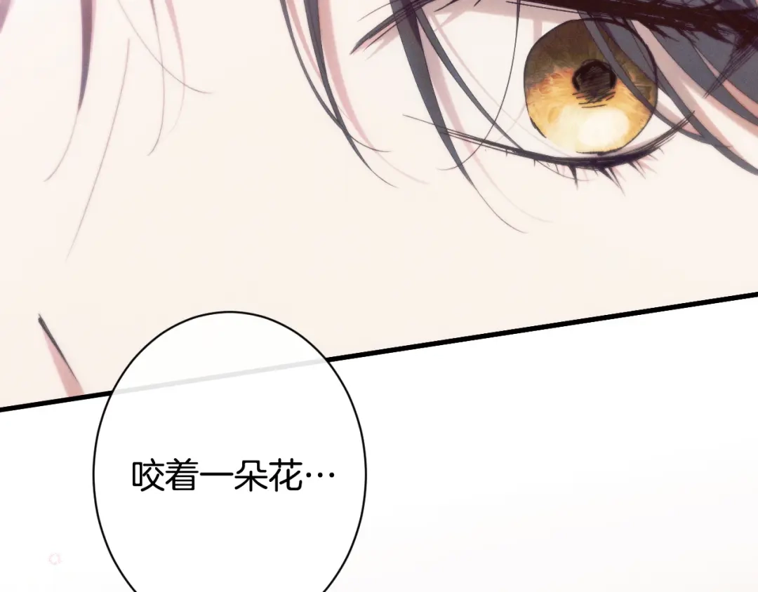 第227页