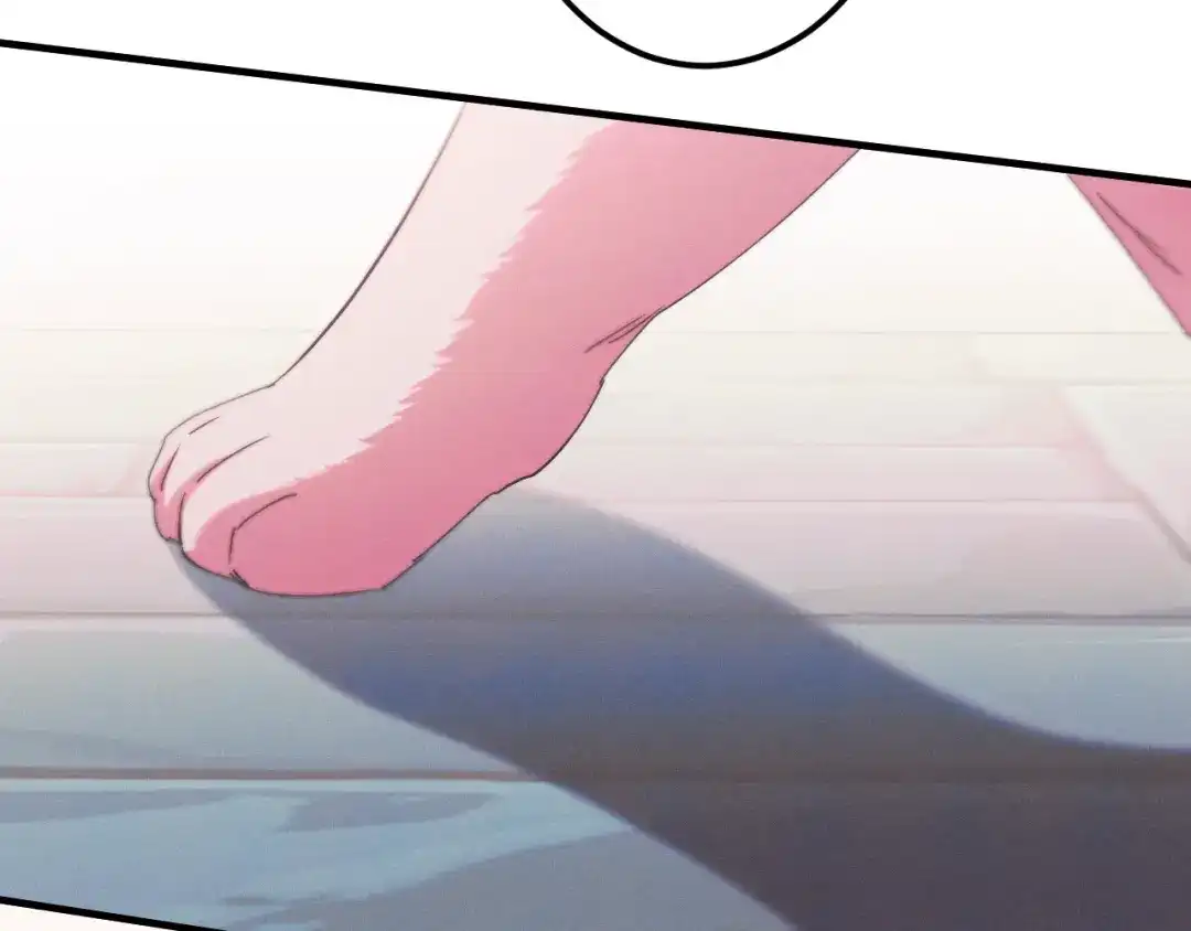 第238页