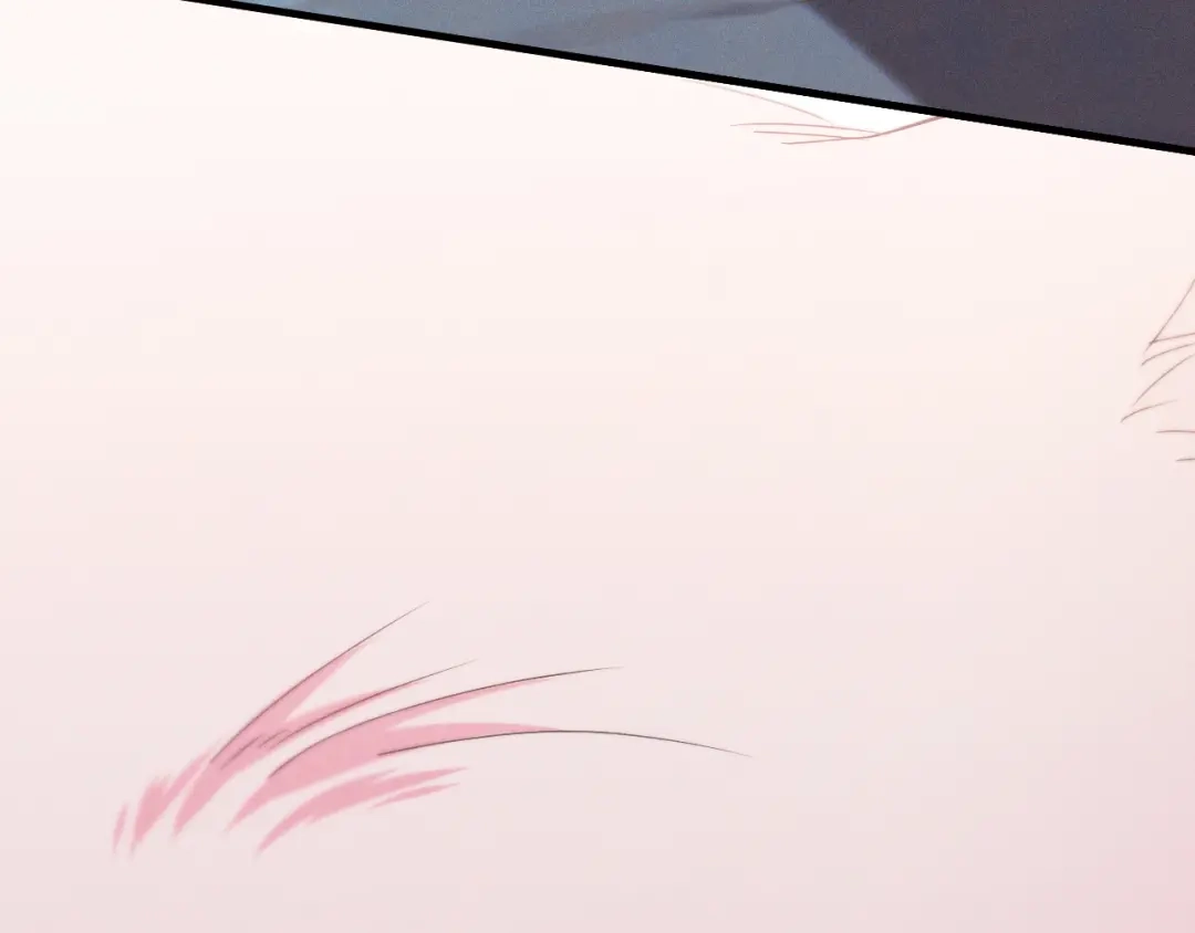第239页