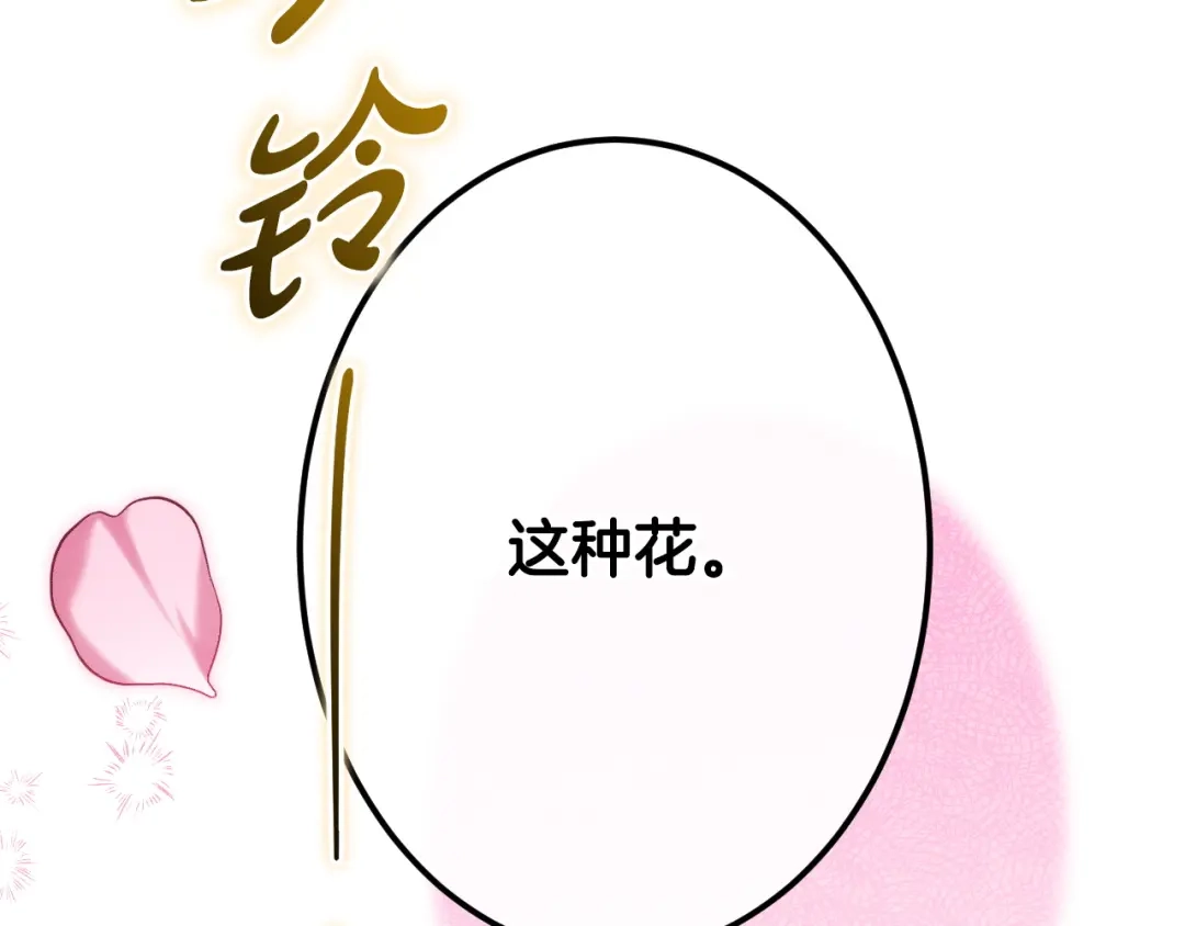 第242页