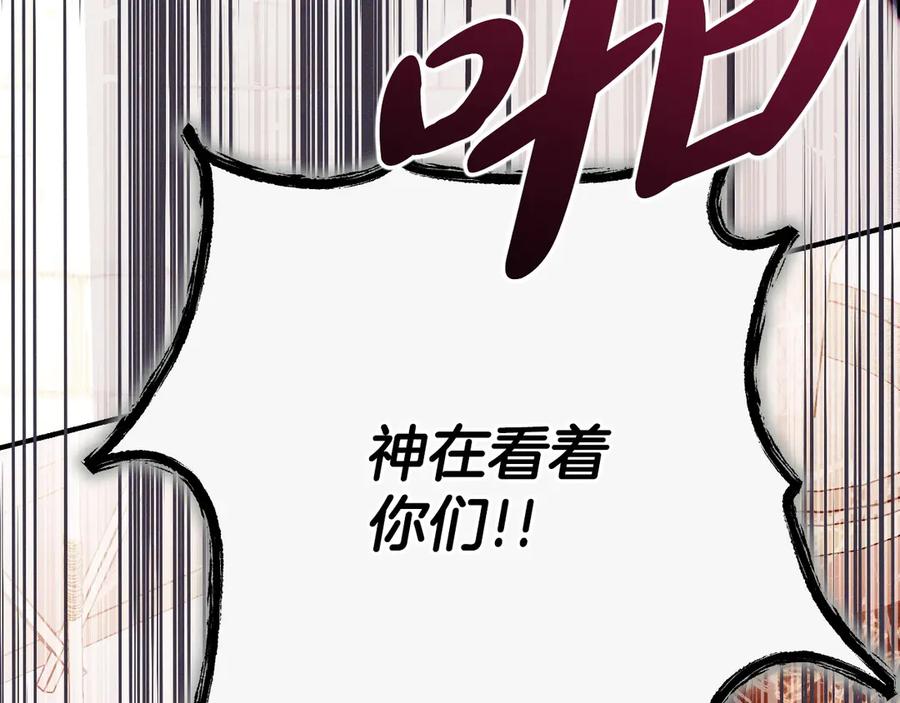第242页