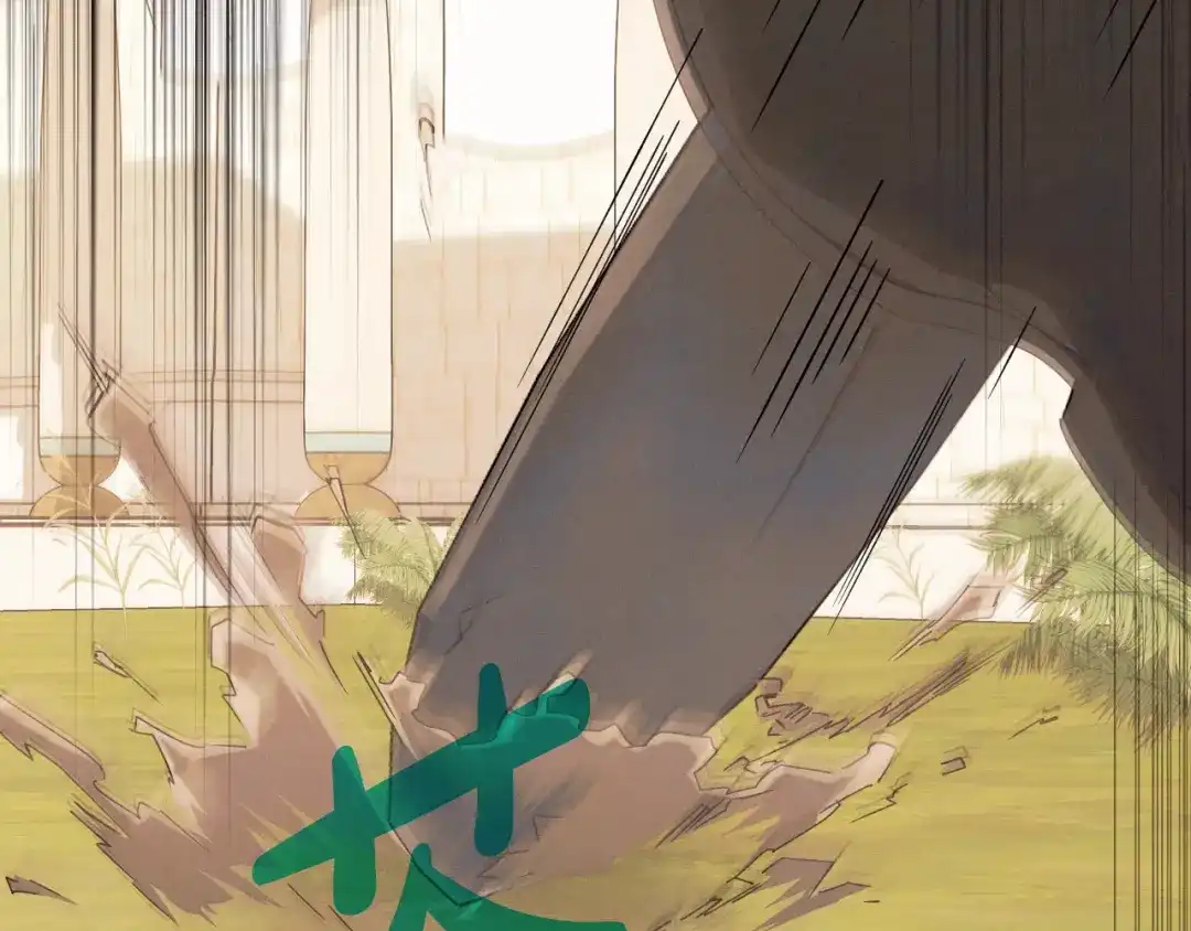第245页