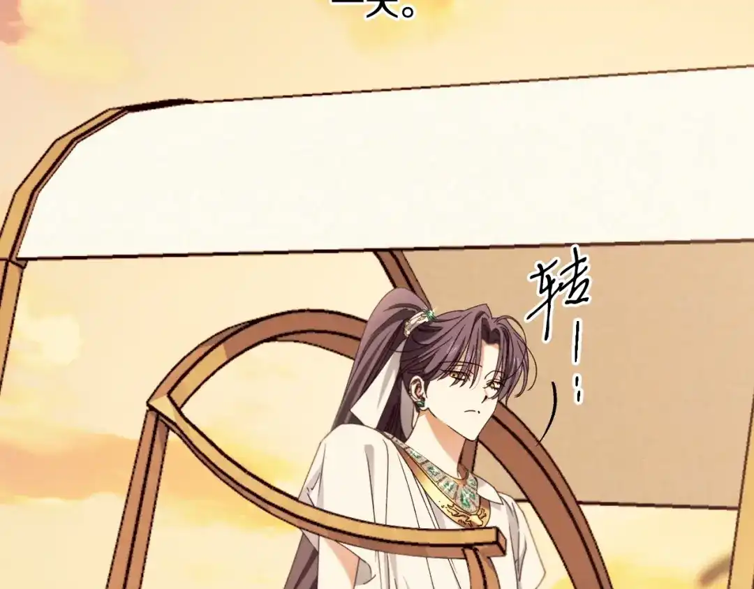 第213页