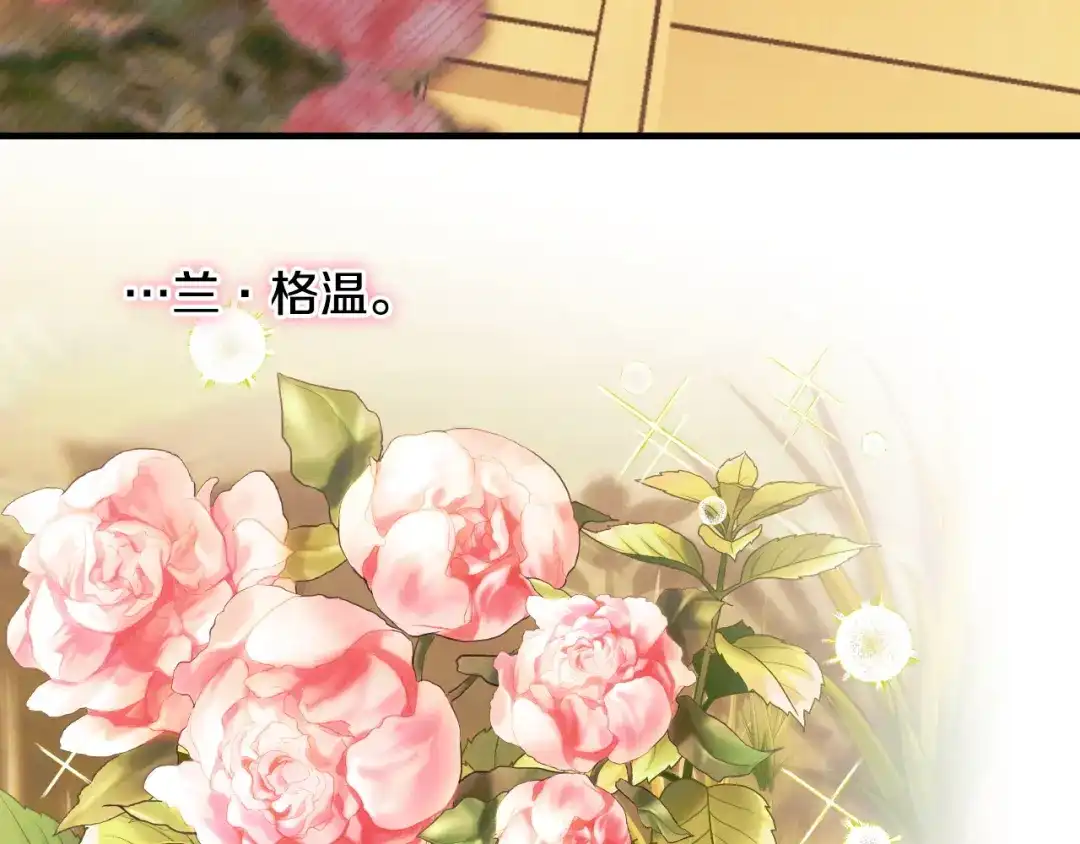 第215页