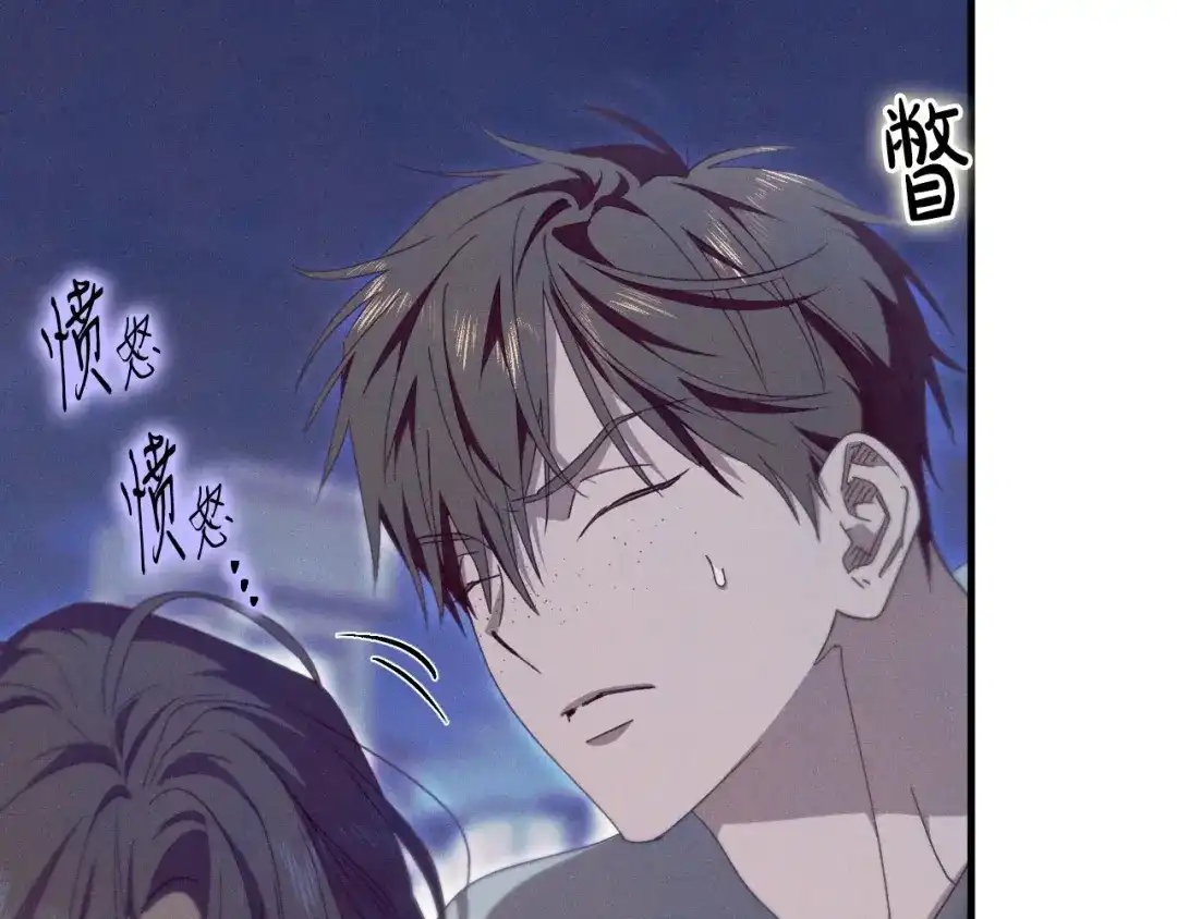 第195页
